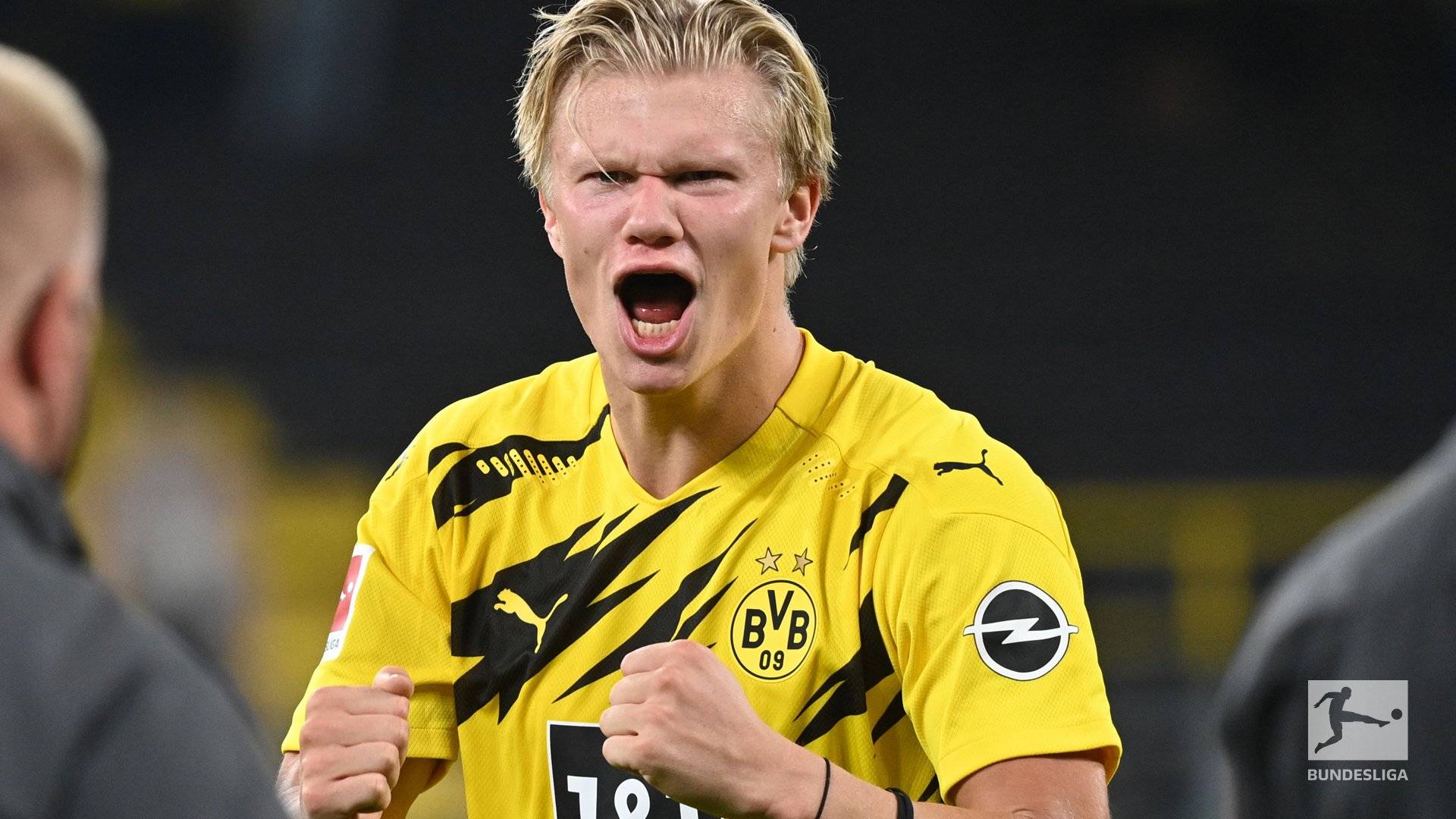 尼克斯太阳 尼克斯太阳